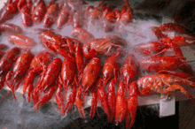 爆料麻辣小龙虾下线视频,揭秘背后真相